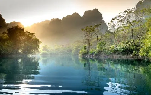 高性能独特智慧